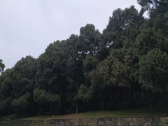 -七曲山风景区