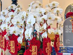 -杜哈夫DOUX RÊVE·生日蛋糕(日月光店)