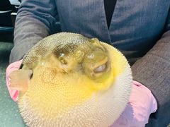 -永安鱼庄·镇江菜(东吴路店)