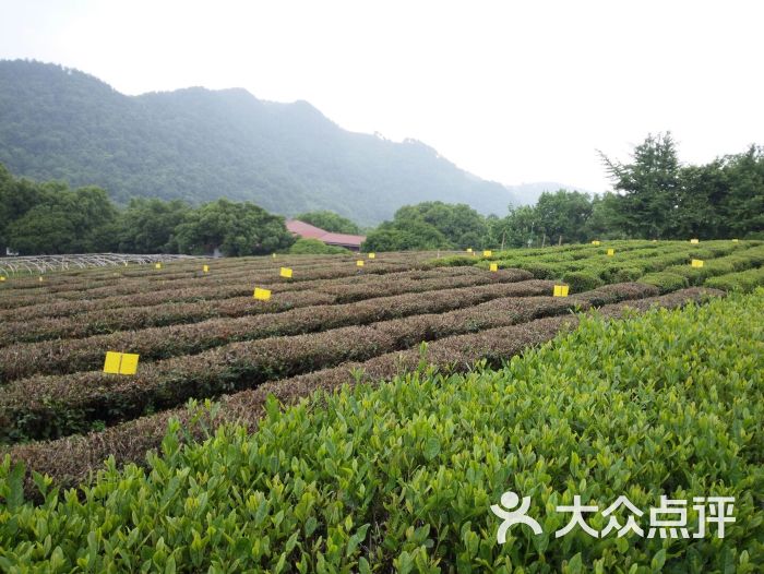鸡笼山-图片-杭州周边游-大众点评网