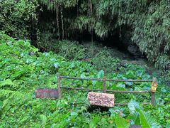 -海口火山口国家地质公园