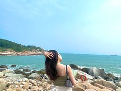 -广东惠东海龟国家级自然保护区