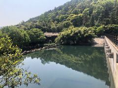 -九龙潭景区