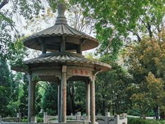 -玲珑塔公园