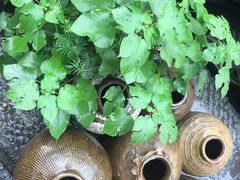 -凡老头米线砂锅(古荡新村西粮站)