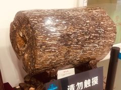 -中国第四纪冰川遗迹陈列馆