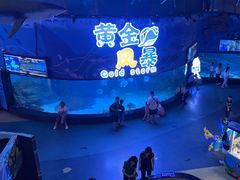 -烟台海昌鲸鲨海洋公园