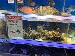 水产区-盒马鲜生(岭南新世界店)
