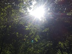 -青峰峡国家森林公园