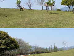 -良渚古城遗址公园