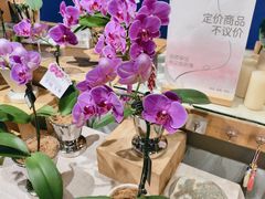 -弗劳尔花艺坊(龙涛店)