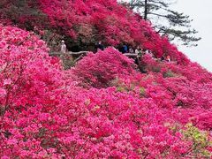 -木兰云雾山