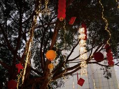 -闽江夜游台江旅游码头