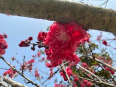 -同里国家湿地公园