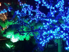 android_upload_pic-伯豪瑞廷酒店-天伦阁西餐厅