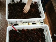-渔人湾码头海鲜市场负二楼