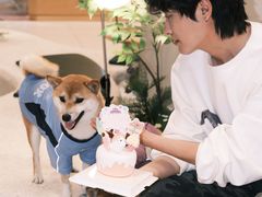 -帕帕拉兹宠物(亚洲旗舰店)