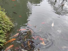 -成都杜甫草堂博物馆