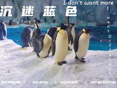 -珠海长隆海洋王国