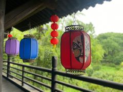 -大唐贡茶院