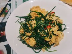 -新疆兵团食府清真(马连道店)