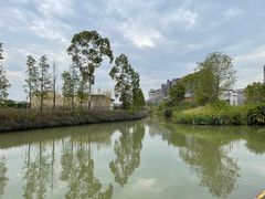 -江门古劳水乡旅游区