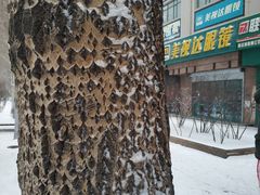 -COSTA COFFEE(哈尔滨凯德学府店)