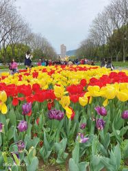 -玄武湖景区-情侣园游乐场