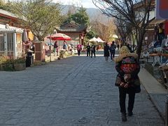 -蘑统田下·野生菌火锅