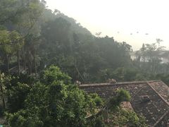 -鼓浪屿琴海庄园海景酒店