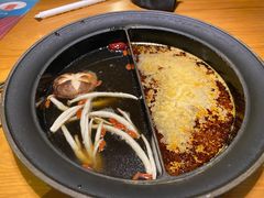 任意锅底-呷哺呷哺 黄金牧场 (阳泉滨河新天地店)