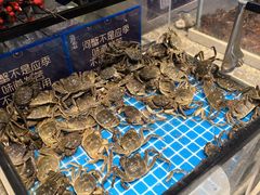 -一方渔歌蒸汽海鲜自助(文化路万达广场店)