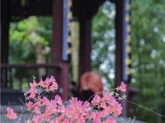 -莫愁湖公园