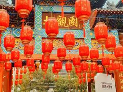 -油旋张(大观园店)