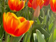 -白沙门生态公园