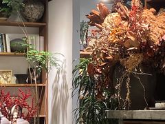 -自由生长植物工作室(深港花卉中心店)