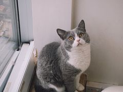 -Catmate·猫肥家润(金润铂宫店)