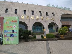 -自贡恐龙博物馆