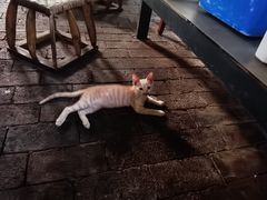 -晓雯人家