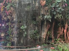 -正佳雨林生态植物园