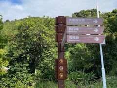 -阳台山森林公园