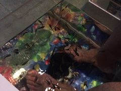 -金隅凤山酒店