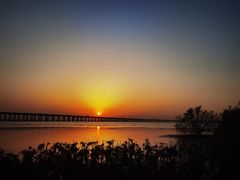 -宝安西湾红树林湿地公园