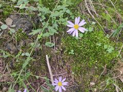 -金堂县云顶石城风景区