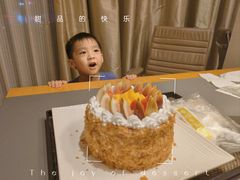 -广州天河合景福朋喜来登酒店