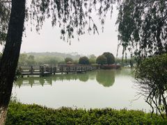 -乳源丽宫国际温泉酒店