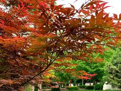 -中国政法大学(昌平校区)