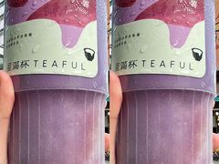 -星满杯TEAFUL(罗湖东门店)