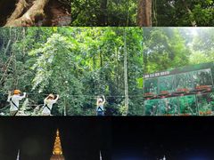 -西双版纳原始森林公园