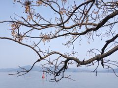 -东钱湖旅游度假区